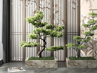 新中式迎客松松树盆景