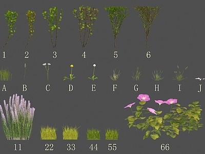 花草组合