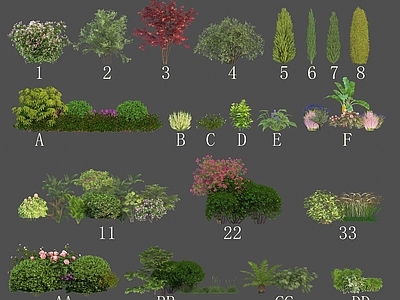 灌木组团 花 草