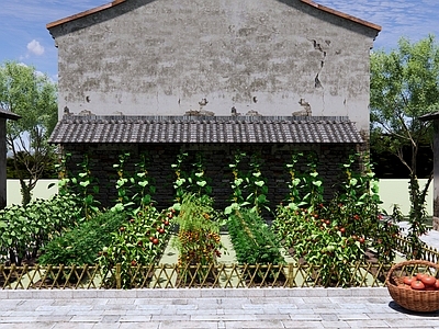 现代乡村庭院  蔬菜瓜果园  竹篱笆