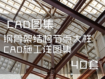 钢骨架结构节点 施工图 节点 结构节点图