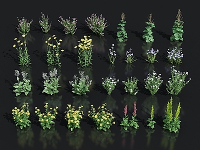 花卉花草组合 灌木 景观绿植花草 室外鲜花绿化