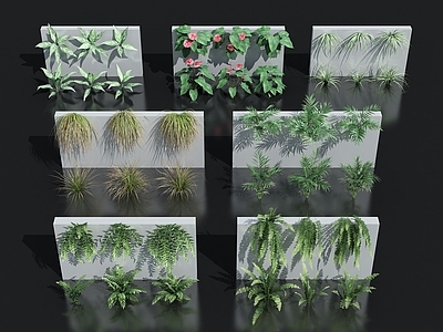 植物墙 花卉花草组合 灌木 绿植