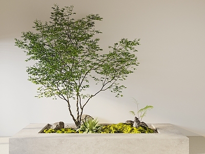 现代景观 小品 植物堆 室内