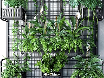 绿植墙 植物墙 植物挂架 墙饰