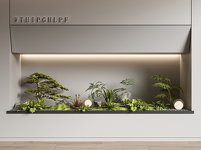 现代室内景观造景 庭院小品 蕨类植物 微地形 石头