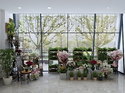 现代花店 鲜花 盆栽