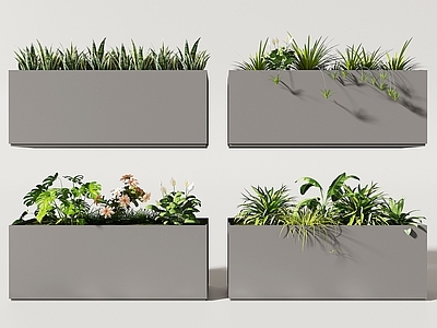 现代植物花箱