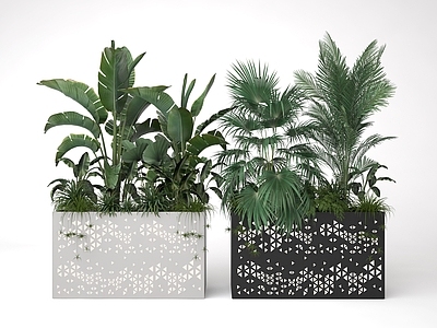 现代花箱 盆栽 盆景 植物组合 植物堆 绿植堆 灌木