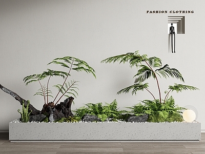 现代室内植物造景 绿植花箱  蕨类植物组合 植物堆 微景观