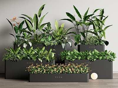 现代户外绿植花箱 移动花箱 植物组合