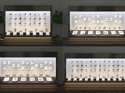 现代植物动物标本展厅