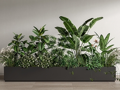 现代绿植花箱 室内植物造景 植物组合 植物堆 花池