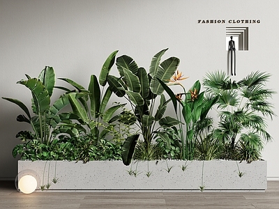 现代绿植花箱 室内植物造景 植物组合 植物堆 花箱 微