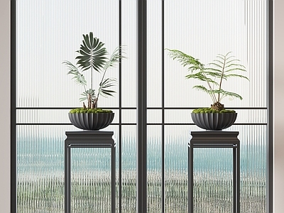 新中式盆景 植物