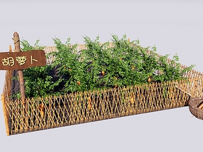 现代乡村菜地菜园 胡萝卜种植园