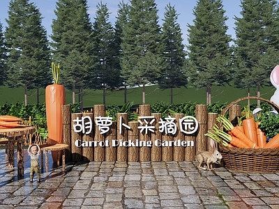 现代乡村庭院菜园 胡萝卜采摘园