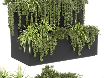 现代花箱 植物箱 绿植盆栽 常春藤