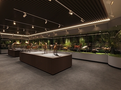 现代动植物展厅