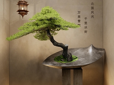 罗汉松盆景 松树