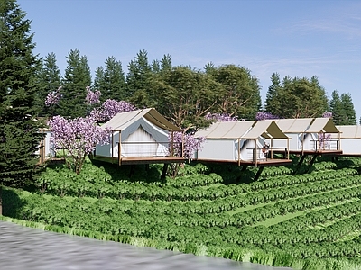 现代森林公园木屋 网红打卡点 茶山露营基地 观景木平台