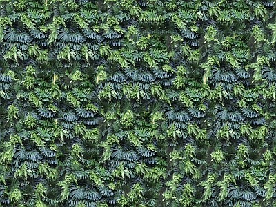 绿植墙贴图
