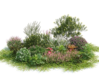 花草组合 植物堆 草地 花池 花卉 树 灌木 花球 花园植物