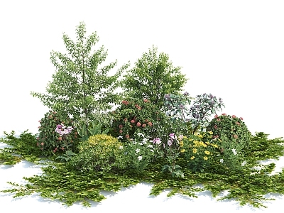 花草组合 草地 灌木 树 花池 花卉 花园植物 松树 灌木丛