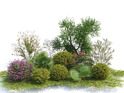 花草组合 灌木球 草地 树 花池 花卉 花园植物 植物