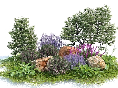 花草组合 植物堆 草地 灌木球 花池 花卉 花园景观植物 石头 景观树