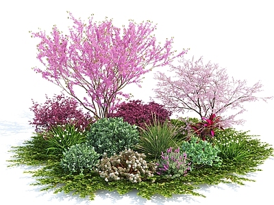 花草组合 樱花树 梅花树 景观树 花草 草地 灌木 花池 花卉 绿植