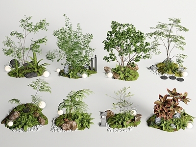 现代庭院小品 植物造景 植物组合 蕨类植物 景观树 微地形 石头