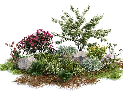花草 草地 灌木 花池 花卉 树 开花树 树 石头