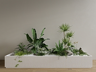 现代绿植花箱 植物组合