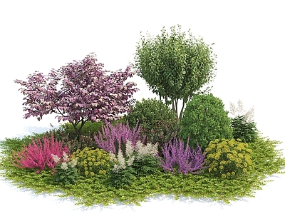 花草组合 草地 灌木球 树 花卉 花池 薰衣草 植物堆