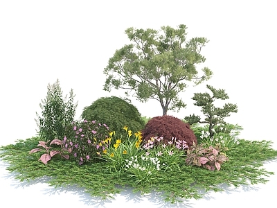 花草 植物堆 草地 灌木 绿植 花卉 花池 花园植物
