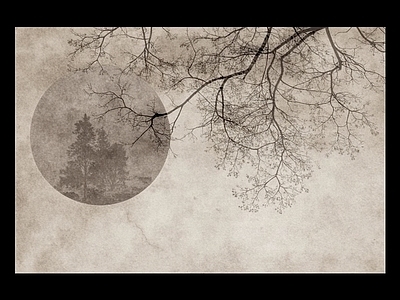 侘寂风客厅装饰画复古意境壁画玄关过道墙挂画极简无框画 侘寂风装饰画