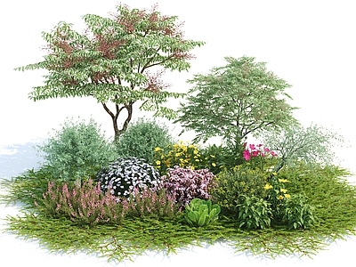 花草植物 植物堆 草地 灌木 景观树 绿植 花卉 花池 花园植物
