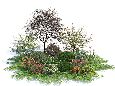 花草 植物堆 灌木 草地 树 秋季树 室外树 花池 花卉