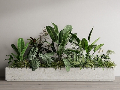 现代绿植花箱 植物组合 小品
