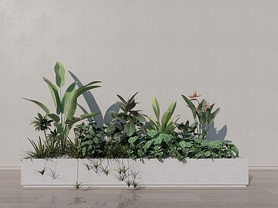 现代绿植 室内花箱 种植池 植物组团 天堂鸟 鹤望兰 吊篮组合