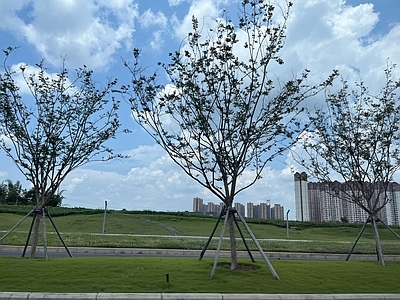 街边外景贴图