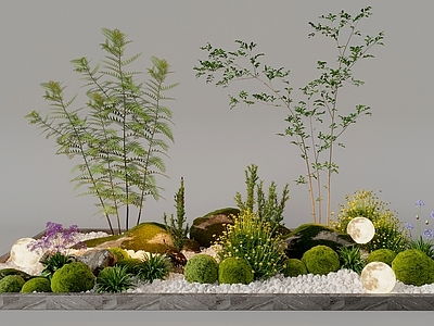 3d现代组团小景模型 景观植物堆 公园小景组合 庭院小景植物组团
