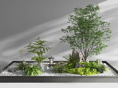 现代室内景观 小品 植物堆 造景 植物组合 造景 造景