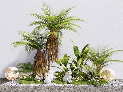 现代植物堆 植物组合 造景 苔藓 蕨类植物