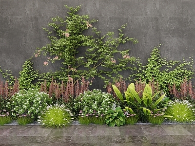 现代花草 植物堆 植物组合 草丛 灌木 藤爬植物 爬山虎