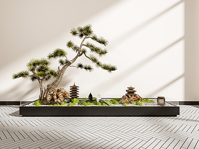 禅意小景 松树小景 植物造景