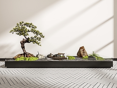 禅意小景 松树小景 植物