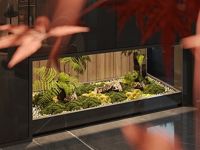 现代植物景观 室内植物 小品 植物造景 植物堆