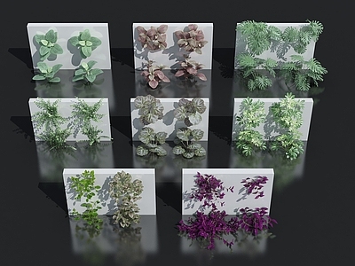 花卉花草组合 灌木 花草 室外鲜花绿化 植物墙